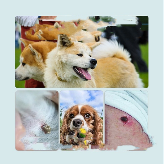 Nuzzld