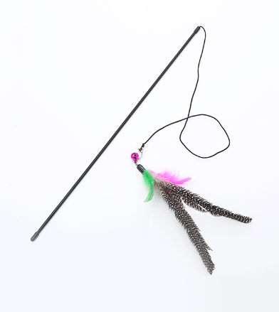 Cat toy