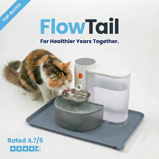 Flow Tail