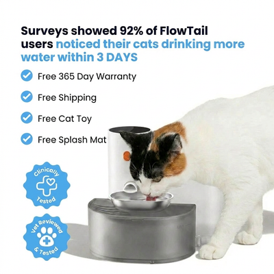 Flow Tail